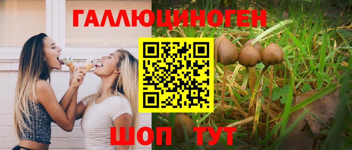 Всеволожск  Псилоцибиновые грибы мицелий  Галлюциногенные грибы Magic Shrooms  Вход с VPN 