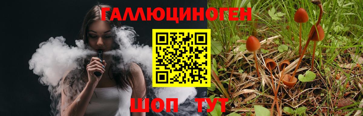 Галлюциногенные грибы мухоморы Всеволожск